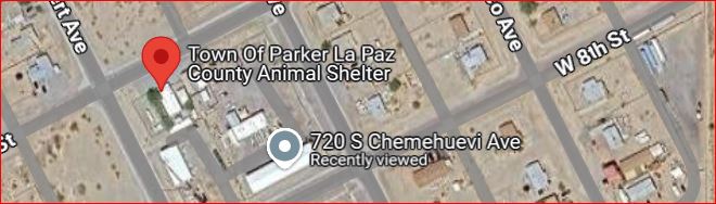 Animal Shelter